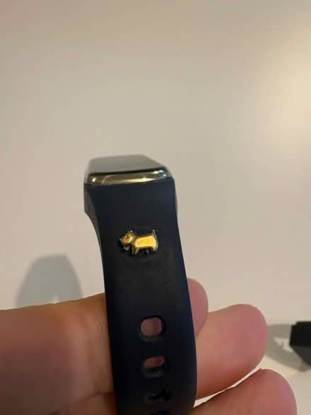 Photo of free Radley London watch (Leeds LS8) #3