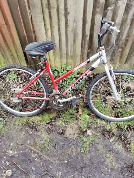 Photo of free Girls Bicycle (Parkstone BH14) #2