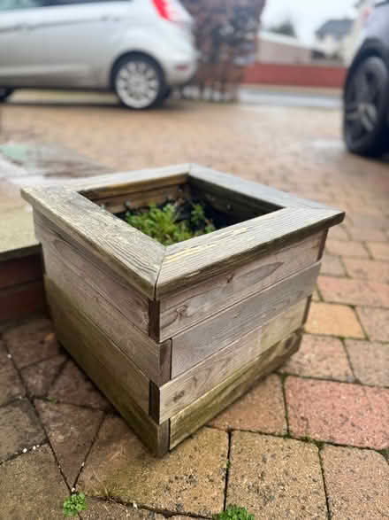 Photo of free Wooden Square Planter (Penrith CA11) #3