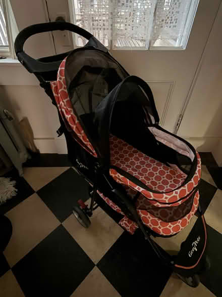 Photo of free Dog items (Porter Square) #4