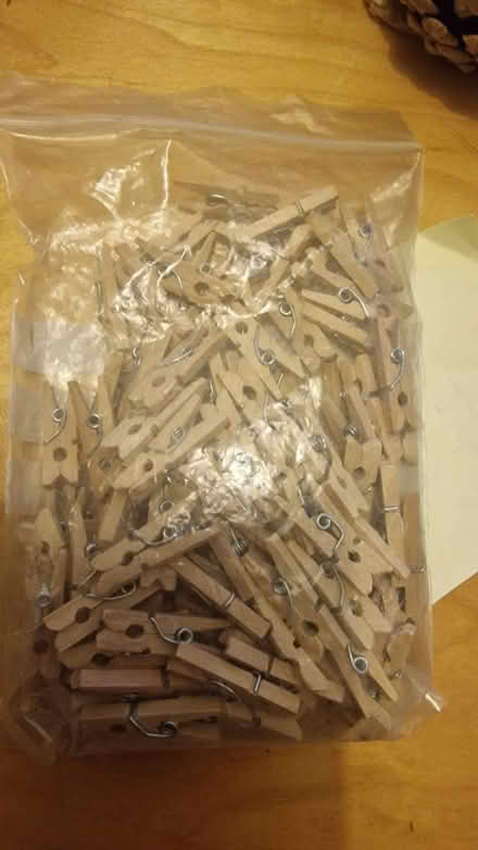Photo of free Small wooden pegs (Kirk Hallam DE7) #1