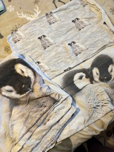 Photo of free Double Duvet Set (Penrith CA11) #1