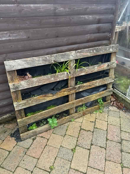 Photo of free Pallet Planter (Penrith CA11) #1