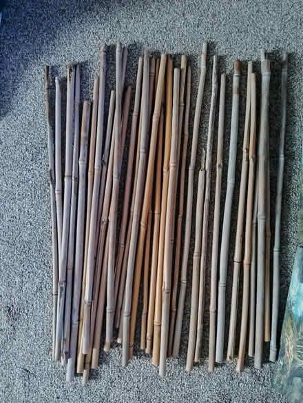 Photo of free Short garden canes (Walderslade Bottom ME5) #1