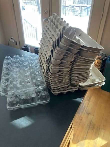Photo of free Egg cartons (Crystal Beach) #1