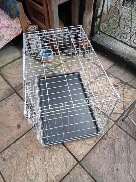 Photo of free Dog crate (Buriton GU31) #1