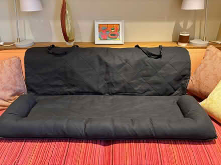 Photo of free Car back seat cover for pets (Wargrave RG10) #1