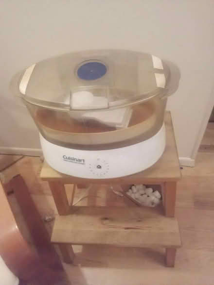 Photo of free electric steamer (South Laurel) #1