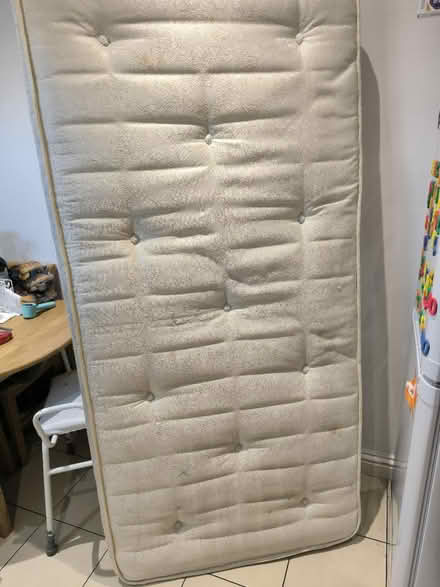 Photo of free Single mattress (N8) #1