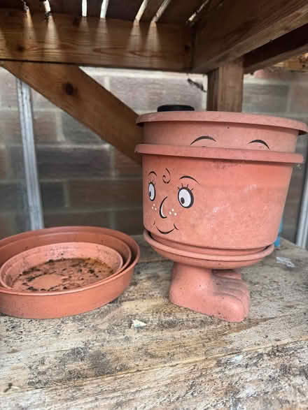 Photo of free Assortment of plant pots (Penrith CA11) #3