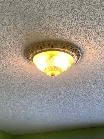 Photo of free Ceiling light (Orleans - Chapel Hill South) #1