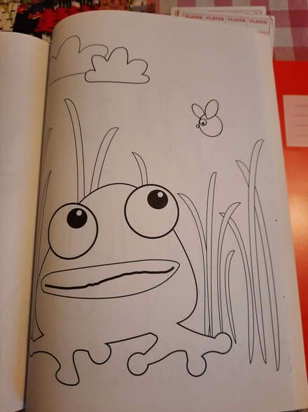 Photo of free Book of masks and colouring book (Hollingdean BN1) #1