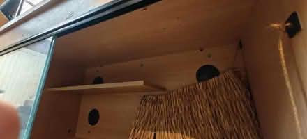 Photo of free 3ft reptile vivarium (Dunstable LU5) #2