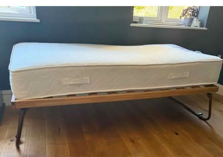 Photo of free Single bed mattress (Effingham) #1