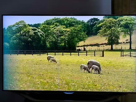 Photo of free 46" Samsung LCD TV (Walton-on-Thames KT12) #3