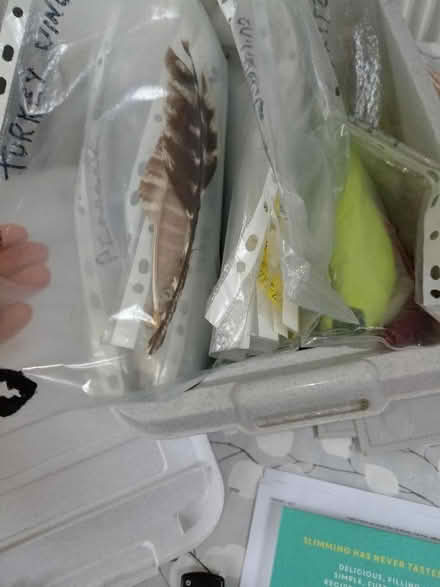 Photo of free Box of feathers for fishing flies (Chiswell Green AL2) #3