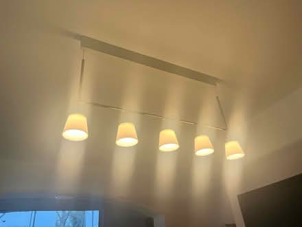 Photo of free Modern ceiling light fixture (Crystal Palace) #3