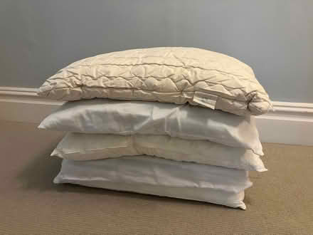Photo of free 5 Pillows (Harrogate HG2) #1