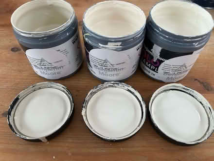 Photo of free Paint samples and paint (Norton LD8) #2