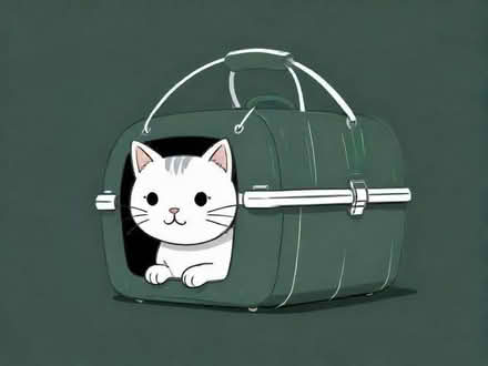 Photo of free Brand new cat carrier (Bulwell NG6) #1