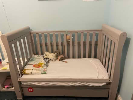 Photo of free Cot (Wood Green N22) #1