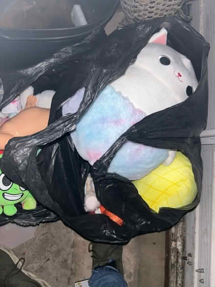 Photo of free 2 x Bag of toys / teddies (Norris green L11) #2