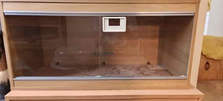 Photo of free 3ft vivarium (Dunstable LU5) #1