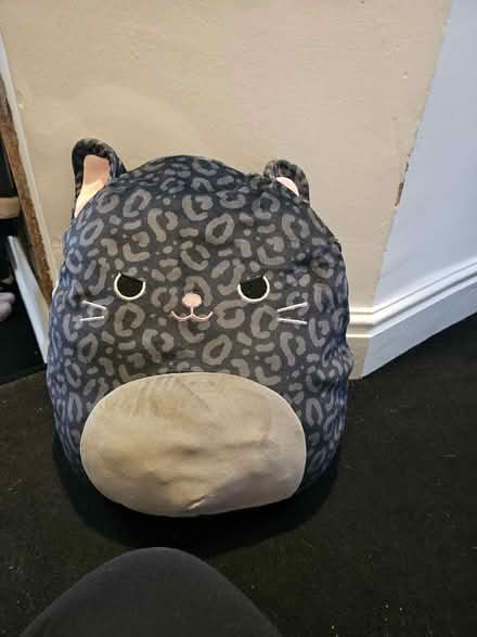 Photo of free 3 cat and dog squishmallows (Thame OX9) #2