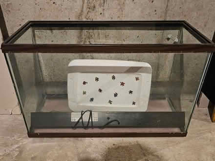 Photo of free 20 gallon aquarium (Raritan Township/Ringoes) #1