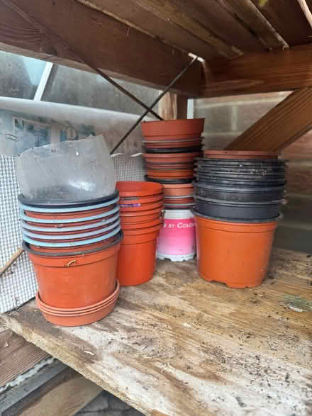 Photo of free Assortment of plant pots (Penrith CA11) #1