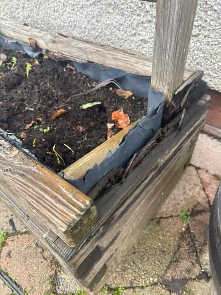 Photo of free Wooden Planter (Penrith CA11) #3