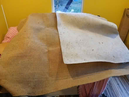 Photo of free Carpet (Lexden CO3) #1