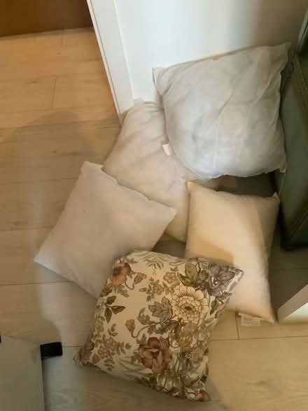 Photo of free 5 cushion pads 2 feather filling 3 polyester filling (Greenwich SE10) #1