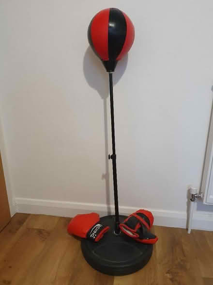 Photo of free Boxing punchball kit for kids (North Road) #1