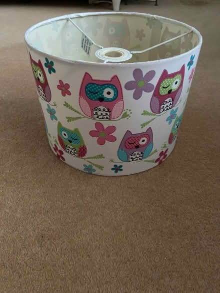 Photo of free Owl lamp shade (Locks Heath SO31) #1