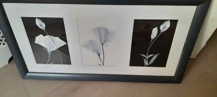 Photo of free Picture (Clondalkin) #1