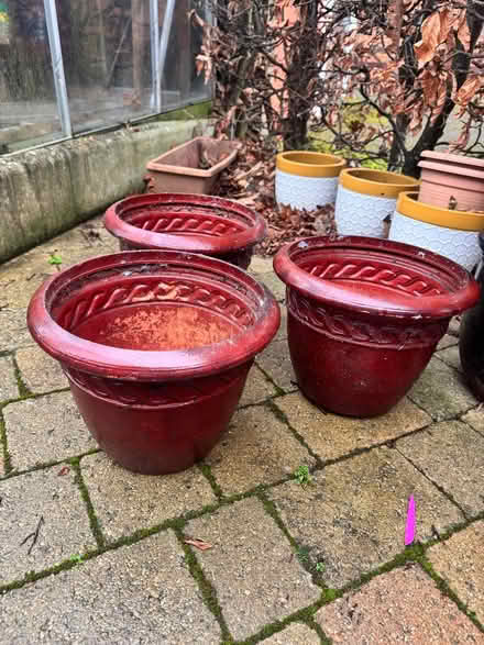 Photo of free 3 Plastic Terracotta Plant Pots (Penrith CA11) #1