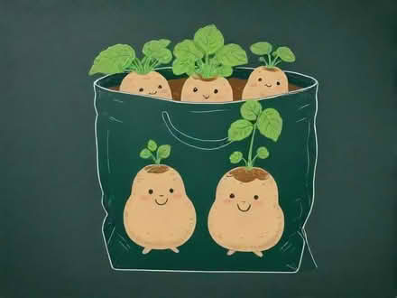 Photo of Potato grow bags /tubs (Whitton LD7) #1