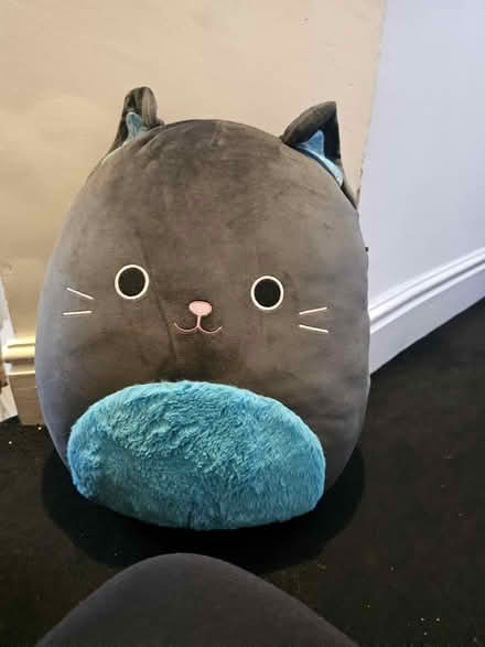 Photo of free 3 cat and dog squishmallows (Thame OX9) #3