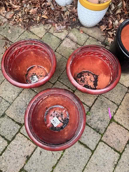 Photo of free 3 Plastic Terracotta Plant Pots (Penrith CA11) #2