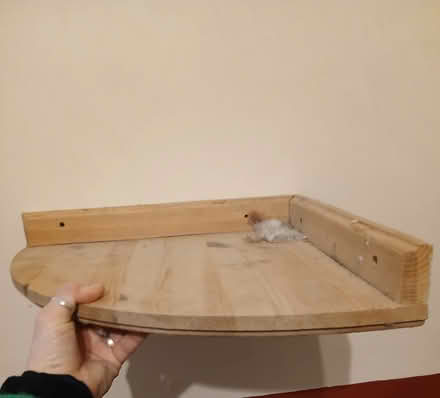 Photo of free 2 x corner shelves (Wisewood, S6) #1