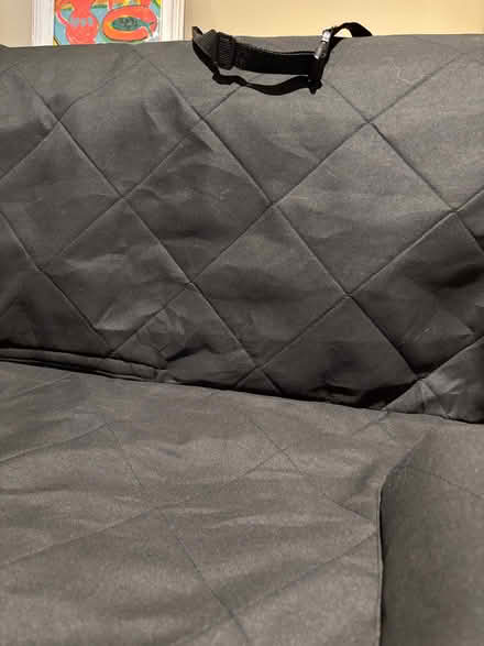 Photo of free Car back seat cover for pets (Wargrave RG10) #3