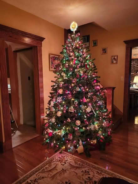 Photo of free Artificial Christmas Tree (Off Johnson Ave) #1