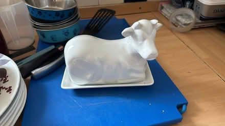 Photo of free Cow shaped butter dish (Guardbridge KY16) #1