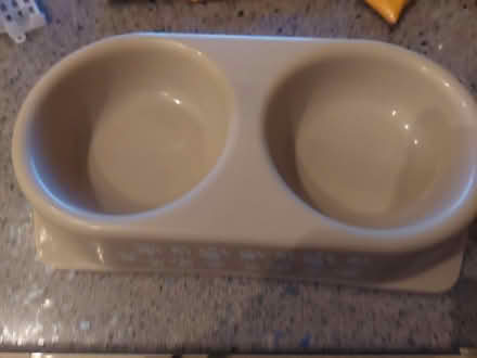 Photo of free Cat bowl (SW16) #2
