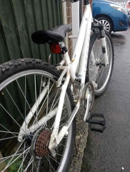 Photo of free Ridgeback girls bike (Dovecote BS37) #3