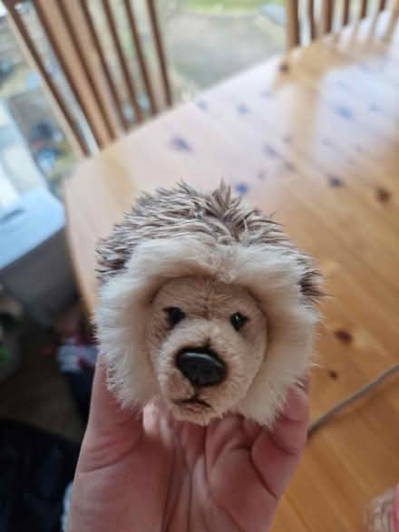 Photo of free Hedgehog toy (SE10) #4