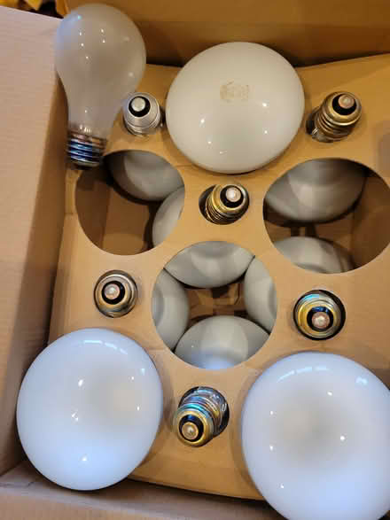 Photo of free Incandescent bulbs (Philadelphia 19123) #1