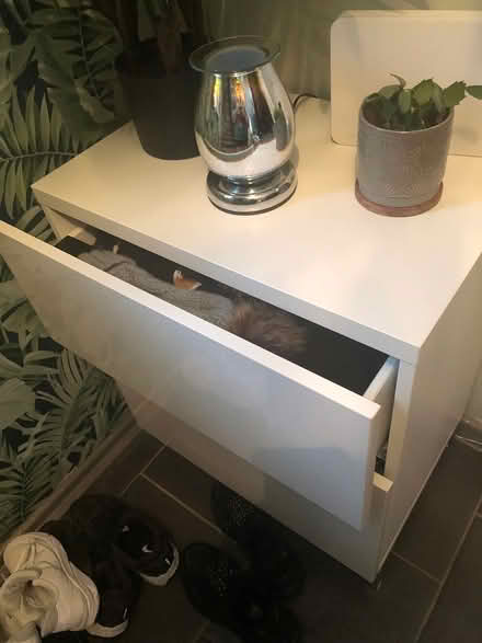 Photo of free White drawer with cupboard (Bedworth CV12) #2