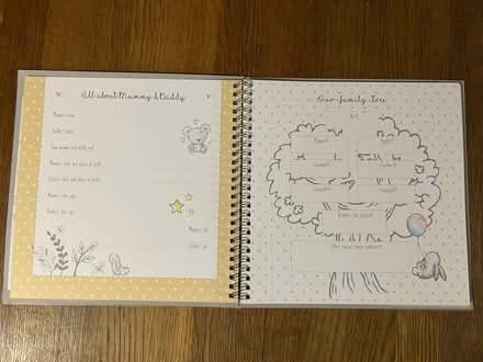 Photo of free Baby memory book (Pallet Hill CA11) #3